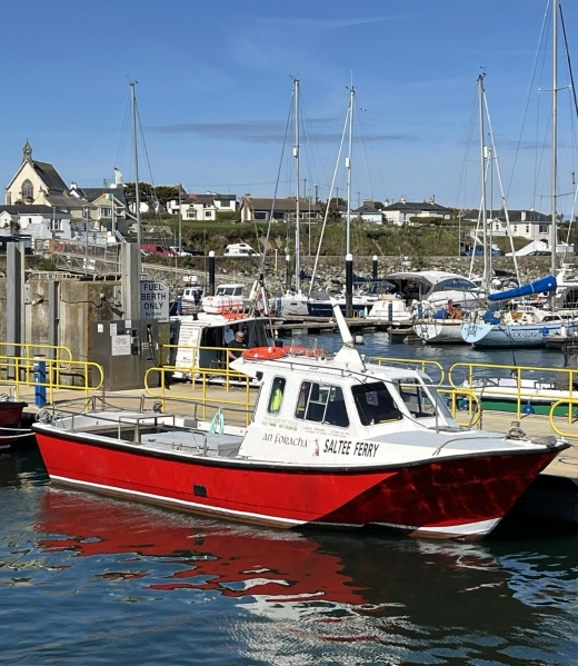 Boat-Trips-Image-Saltee-image1